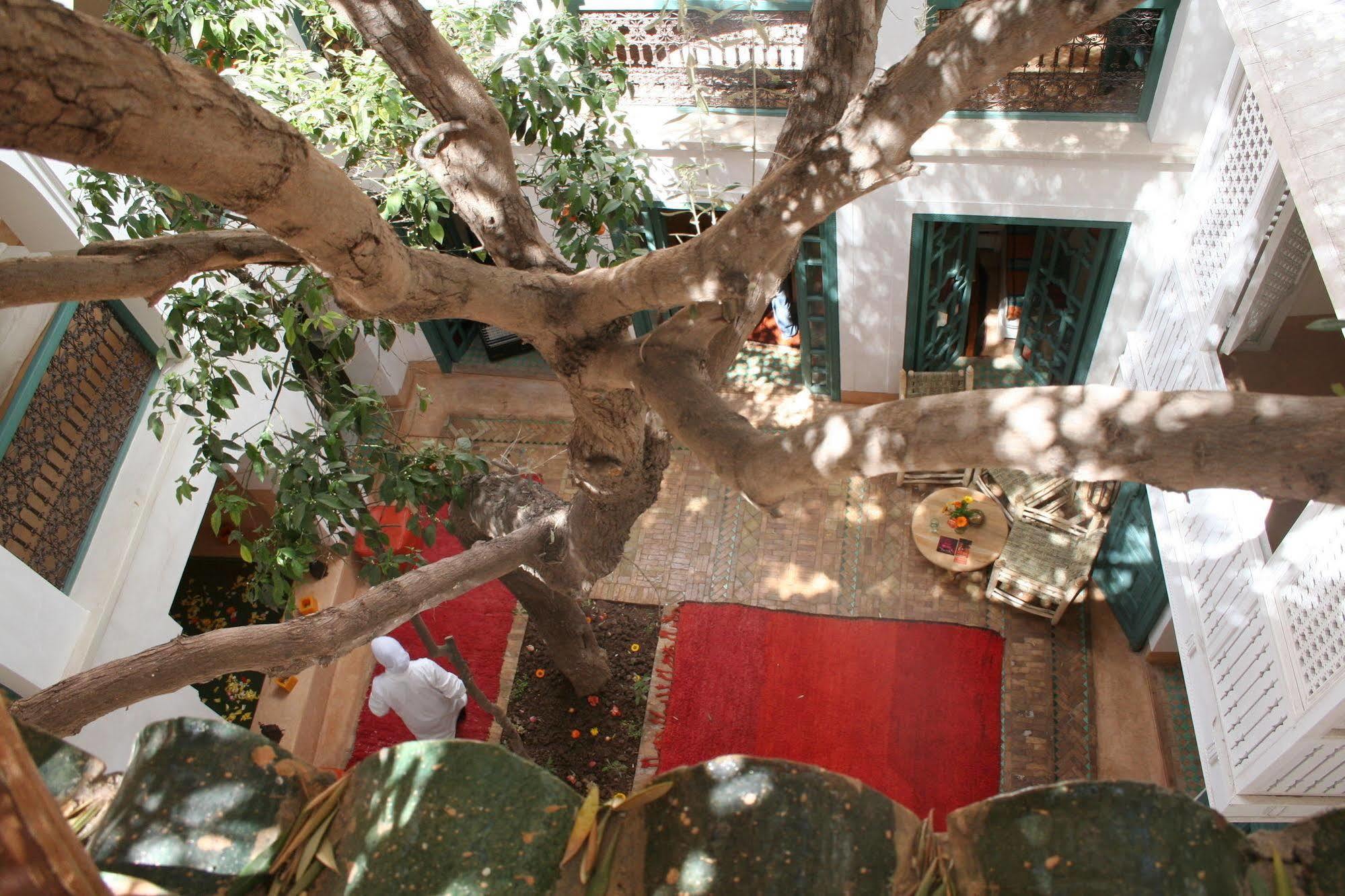 Riad Dar Zitouna En Exclusivite Marakéš Exteriér fotografie